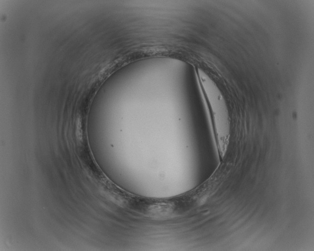 X0000078240700200612011605