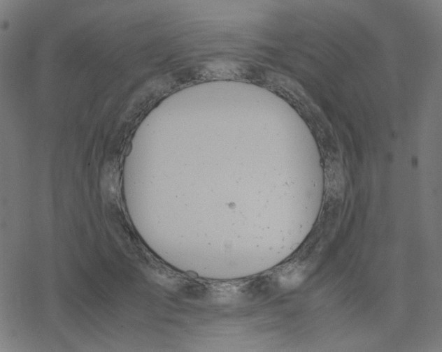 X0000078240701200612011605