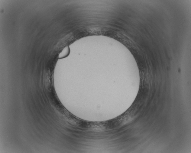 X0000078240702200612011605