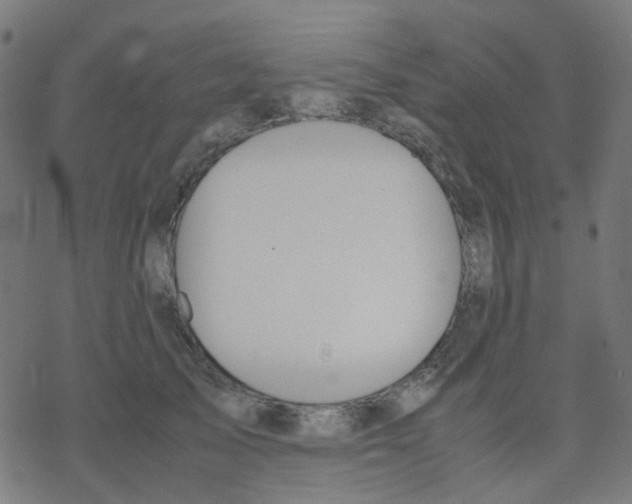 X0000078240705200612011605