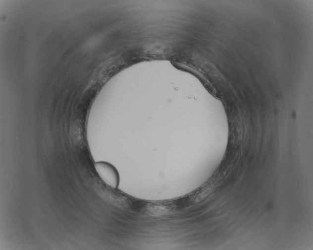 X0000078240706200612011605