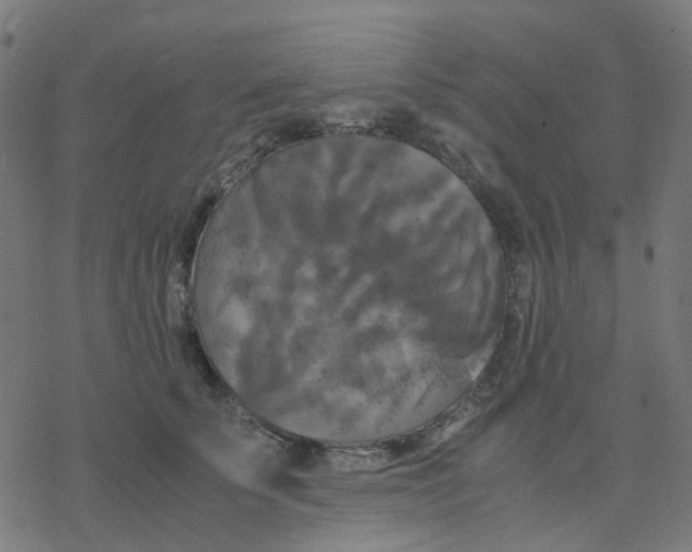 X0000078240707200612011605