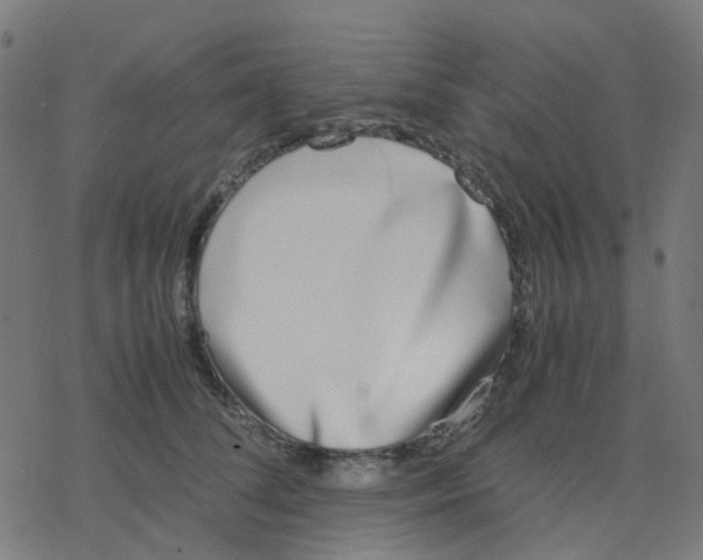 X0000078240708200612011605