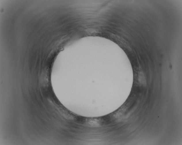 X0000078240710200612011605