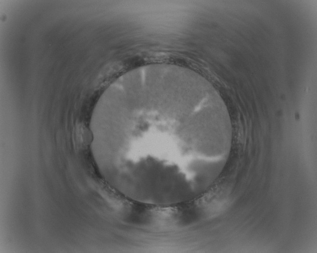 X0000078240711200612011605