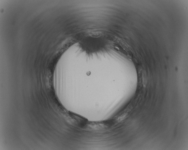 X0000078240712200612011605