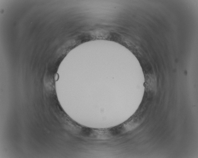 X0000078240713200612011605