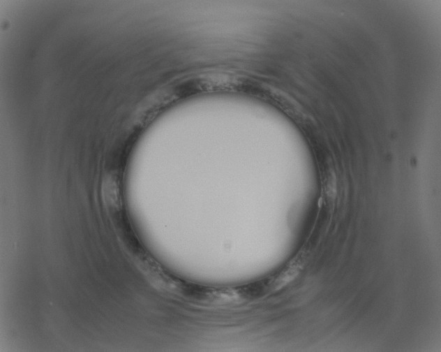 X0000078240715200612011604