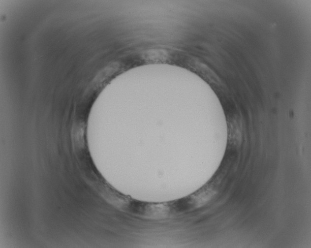 X0000078240717200612011604