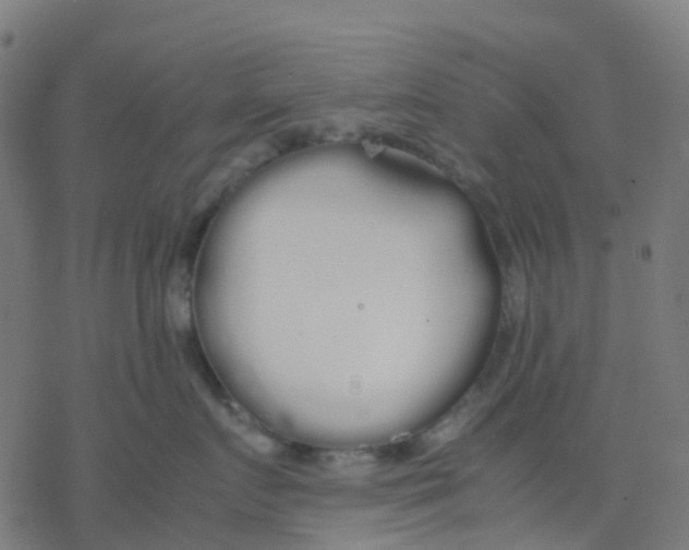 X0000078240719200612011604