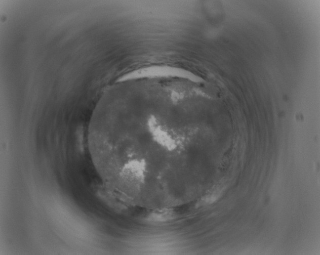 X0000078240720200612011604