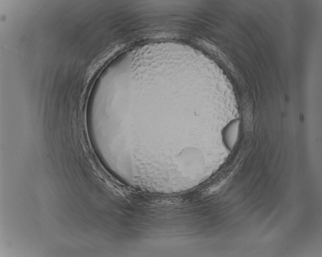 X0000078240721200612011604