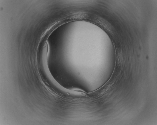 X0000078240722200612011604