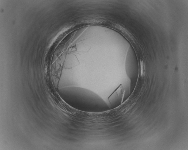 X0000078240723200612011604