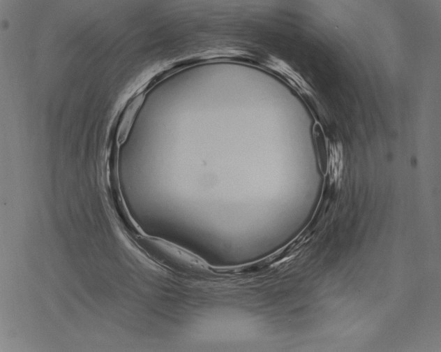 X0000078240726200612011604