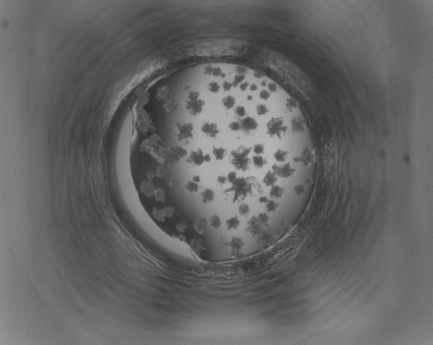 X0000078240727200612011604