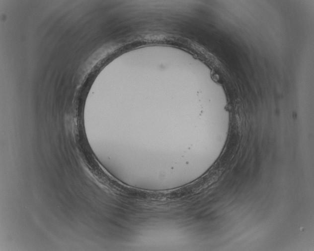 X0000078240728200612011604