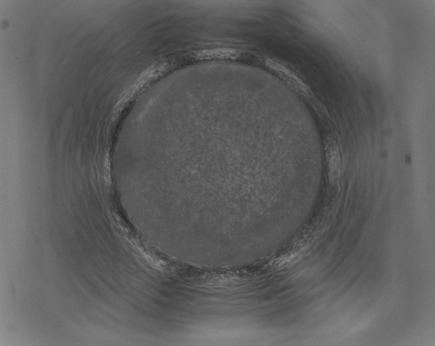 X0000078240729200612011604