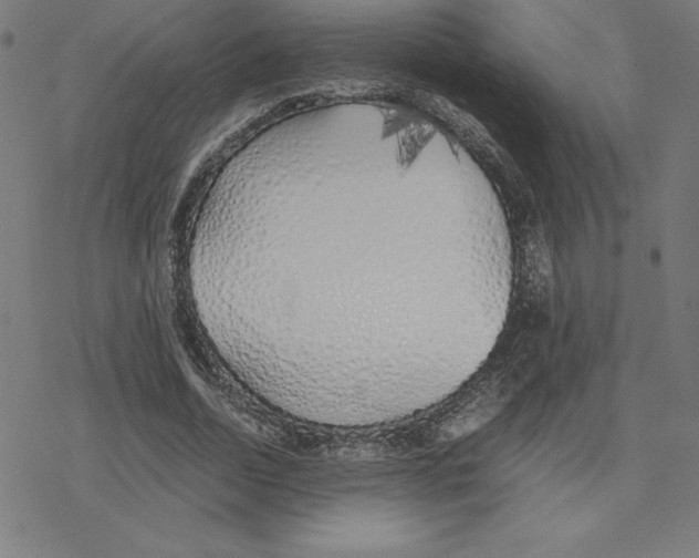 X0000078240730200612011604