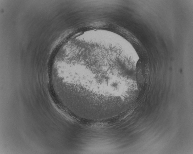 X0000078240734200612011604