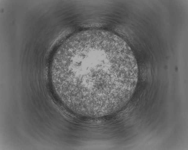 X0000078240735200612011604