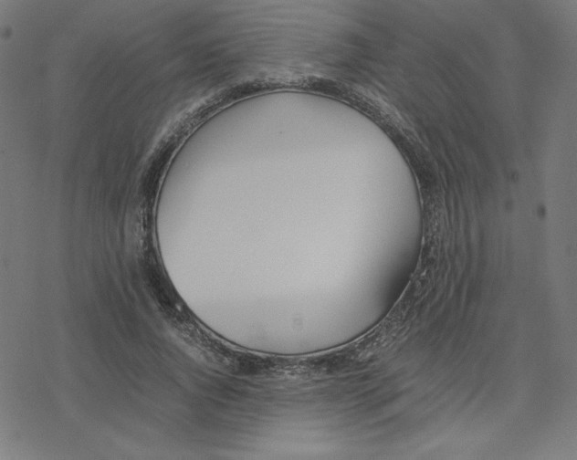 X0000078240736200612011604