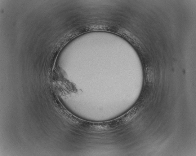 X0000078240737200612011604