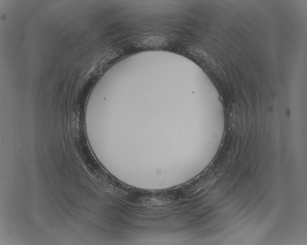 X0000078240739200612011604