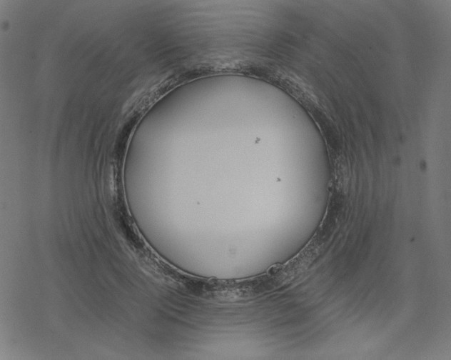 X0000078240740200612011604