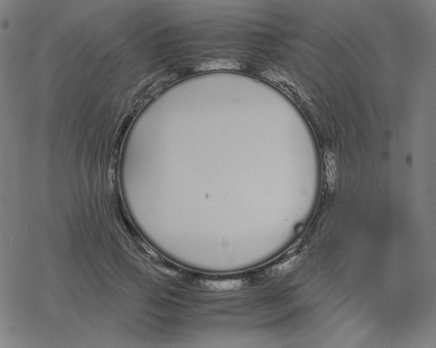 X0000078240741200612011604