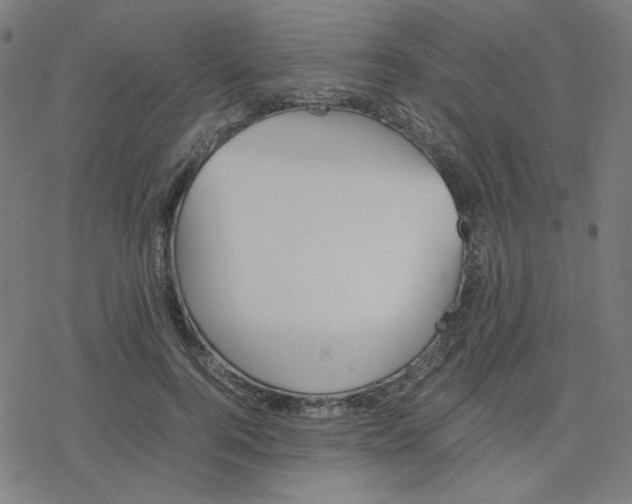 X0000078240744200612011604