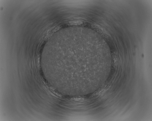 X0000078240745200612011604