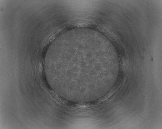 X0000078240746200612011604