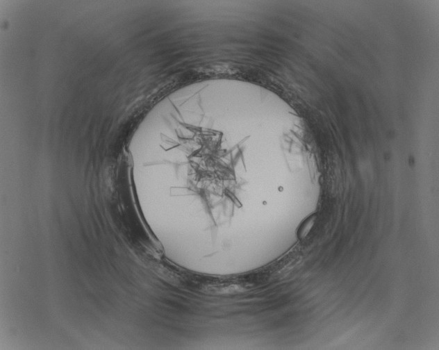 X0000078240747200612011604