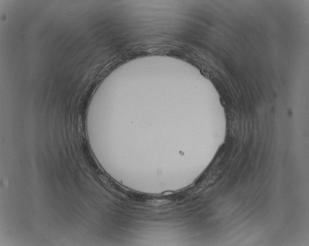 X0000078240748200612011604