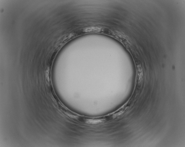 X0000078240749200612011604