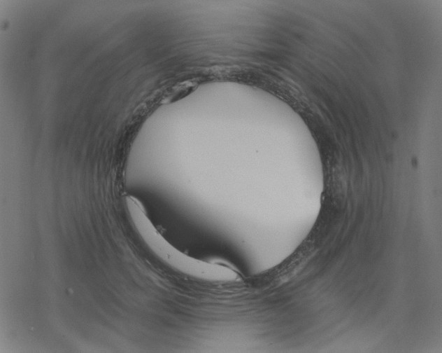 X0000078240750200612011604