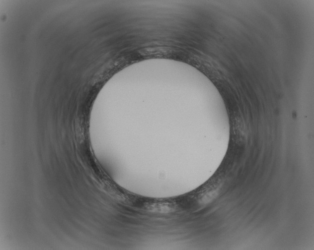 X0000078240751200612011604