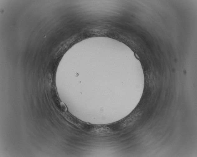 X0000078240752200612011604