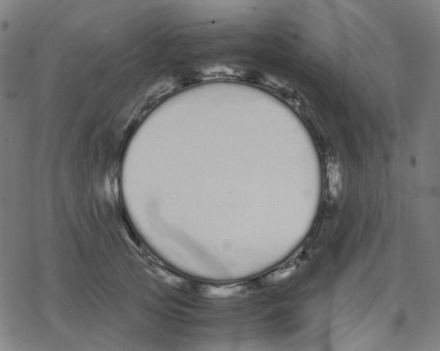 X0000078240753200612011604