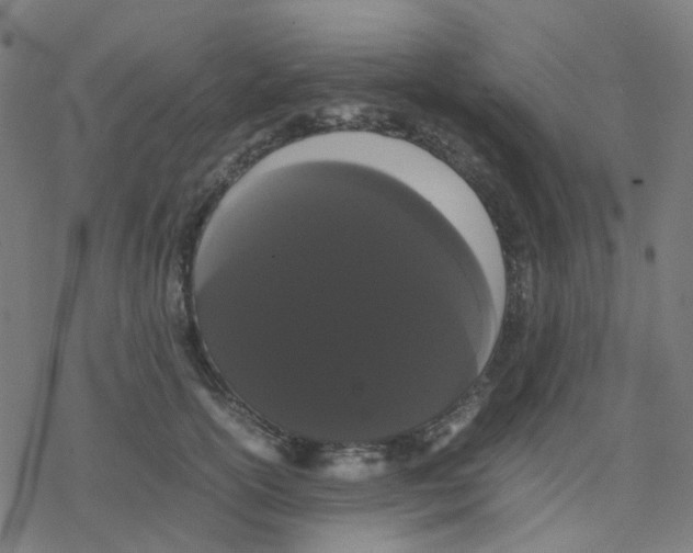 X0000078240754200612011604