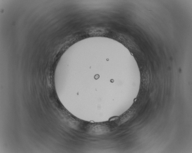 X0000078240755200612011604