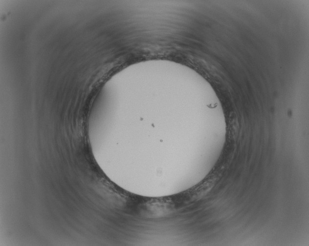 X0000078240756200612011604