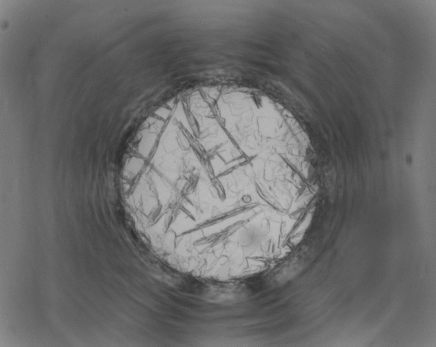 X0000078240757200612011604