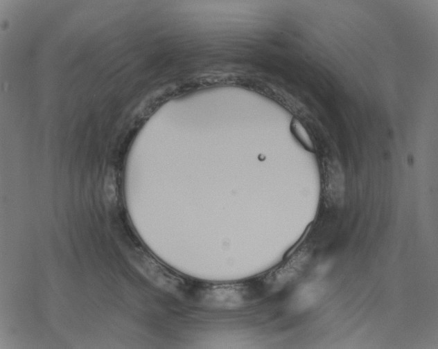 X0000078240758200612011604