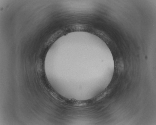 X0000078240760200612011604