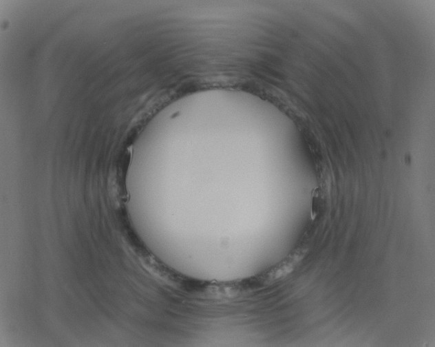 X0000078240764200612011604