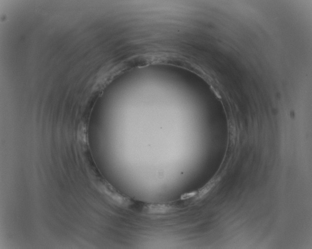 X0000078240766200612011604