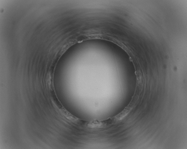 X0000078240767200612011604