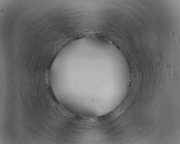 X0000078240768200612011604